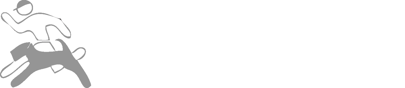 airedale-basel